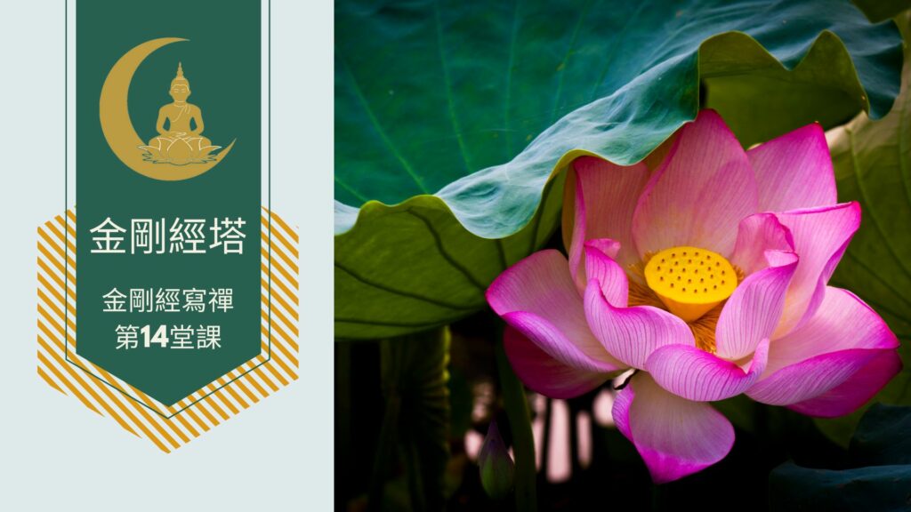 金剛經寫禪的第14堂課
